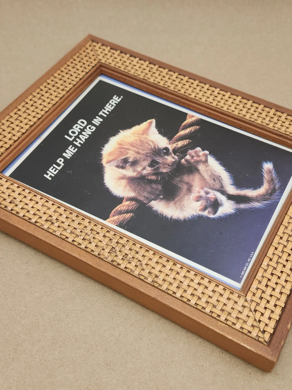 Vintage Rattan Framed Art Motivational Poster Cat Hang In There Wall Art